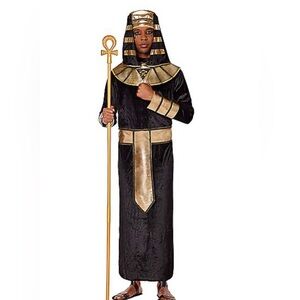 Adult Mens Pharaoh Halloween Costume